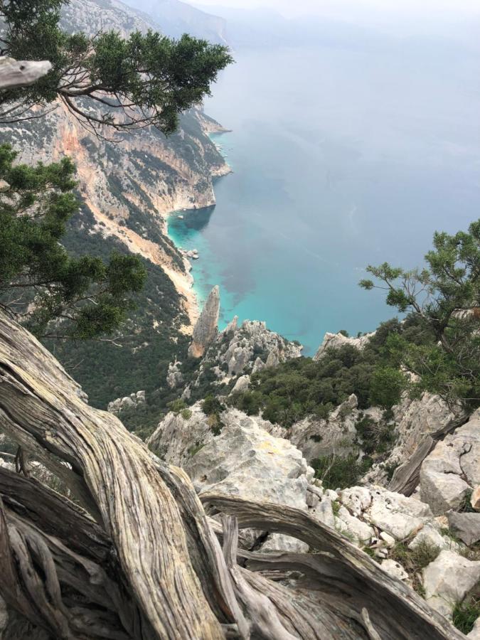 Cala Gonone, Casa I Pini Διαμέρισμα Εξωτερικό φωτογραφία